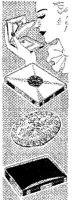 FSH046E.JPG