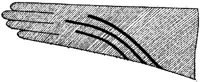 FSH045J.JPG