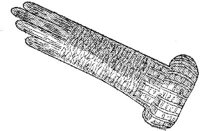 FSH044D.JPG
