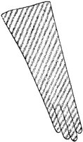 FSH043F.JPG