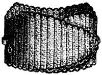 CFS019E.JPG