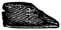 EAC145G.JPG
