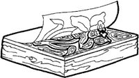 SPA029A.JPG