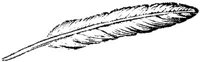 OBK031F.JPG