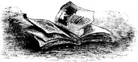OBK021F.JPG