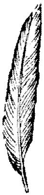 OBK014K.JPG