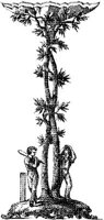 CTP193A.JPG