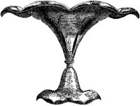 CTP192C.JPG