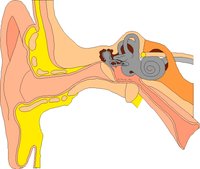EAR.WMF