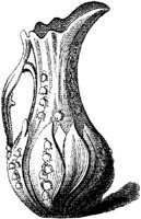 CTP076B.JPG