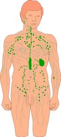 ENDOCRN.WMF