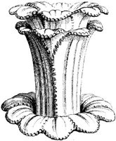 CTP001C.JPG