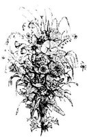 VSI087C.JPG