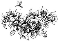 VSI087B.JPG