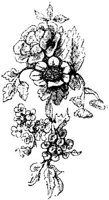 VSI086I.JPG