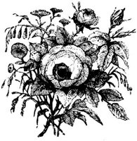 VSI084G.JPG