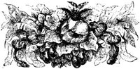 VSI082D.JPG