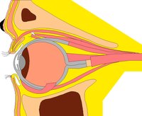EYE.WMF