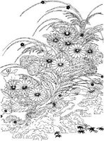 JPF047A.JPG