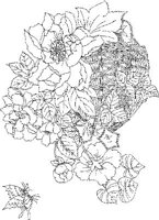 JPF046A.JPG