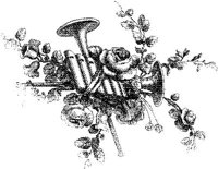 FMF006D.JPG