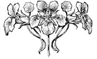 EAC089B.JPG
