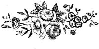 EAC003P.JPG