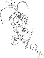 WMG034G.JPG