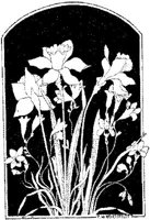 WMG030F.JPG