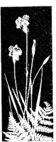 WMG030A.JPG
