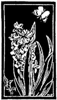WMG006H.JPG