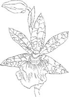 ORW045A.JPG