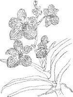 ORW044A.JPG