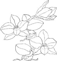 ORW042A.JPG