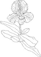 ORW035A.JPG