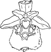 ORW033E.JPG