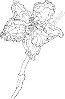 ORW031A.JPG
