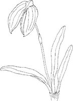 ORW028A.JPG