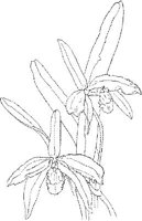 ORW024A.JPG