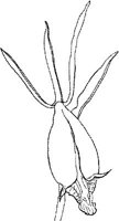 ORW012B.JPG