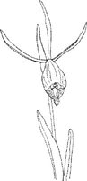 ORW012A.JPG