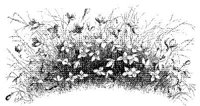FMF071A.JPG