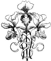 FMF047H.JPG