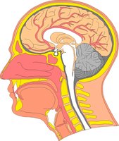 HEAD.WMF