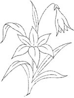 FLM112D.JPG
