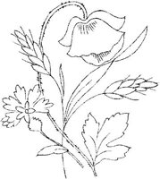 FLM111A.JPG