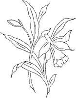 FLM110E.JPG