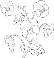 FLM110B.JPG