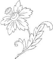 FLM109D.JPG