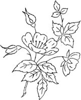 FLM107E.JPG